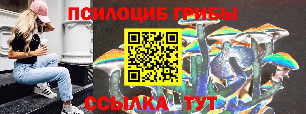 Галлюциногенные грибы мухоморы  цены   Сургут  Вход с VPN 
